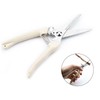 2PC Stainless Steel Pruning and Cutting Multifunctional Horticultural Scissors Orchard