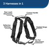 PetSafe 3 in 1 Harness with Two Point Control Leash