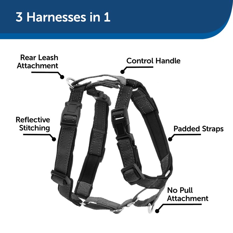 PetSafe 3 in 1 Harness with Two Point Control Leash