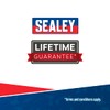 Sealey AK5731 Half-Round Engineer's File, Multi-Colour, 200 mm