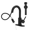 Black Bathroom Sink Faucet with Pull Out Sprayer for Sink