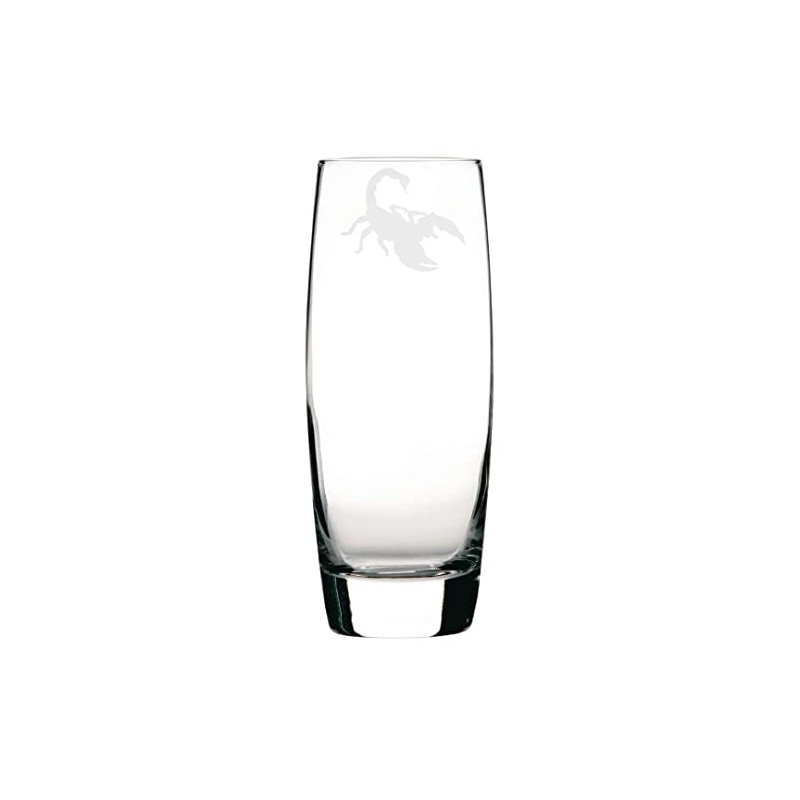 Scorpion Engraved Hi-Ball Glass, Scorpion Gift, Scorpion Glass, Gift for