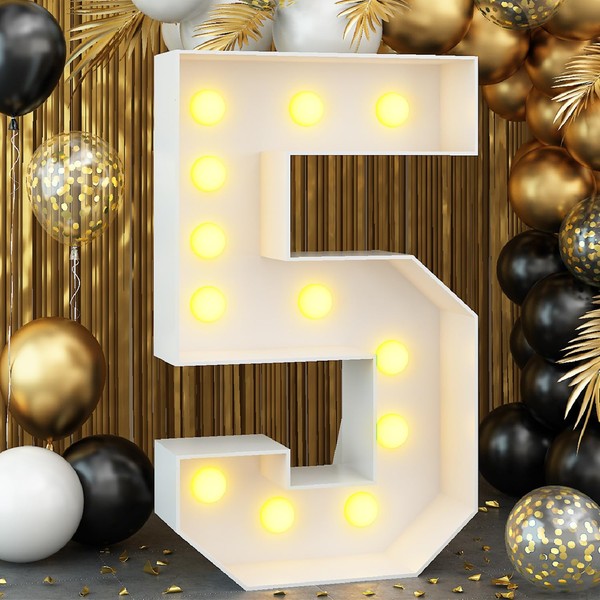 4ft Light up Number 5 White Numbers with Lights 5th