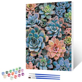NAIMOER Succulent Paint by Numbers Kits for Adults Beginner with Wooden Framed, Color by Numbers on Canvas Painting Kits for Adults, Easy Paint DIY Acrylic for Home Wall Decor 12X16 Inch