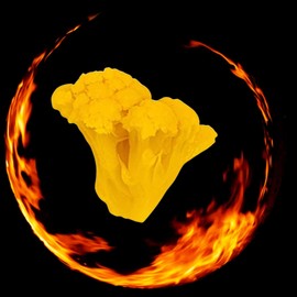 Mrs. Klein's Hot Cauliflower Bites | Hot & Spicy Pickle Cauliflower Florets | Unique salad toppings | Low Carb Snack | Vegan snack | Kosher, Keto Friendly & Gluten Free | Spicy Pickled Vegetables Made with Natural Ingredients | Made in the USA| 32 oz (Pack of 6)