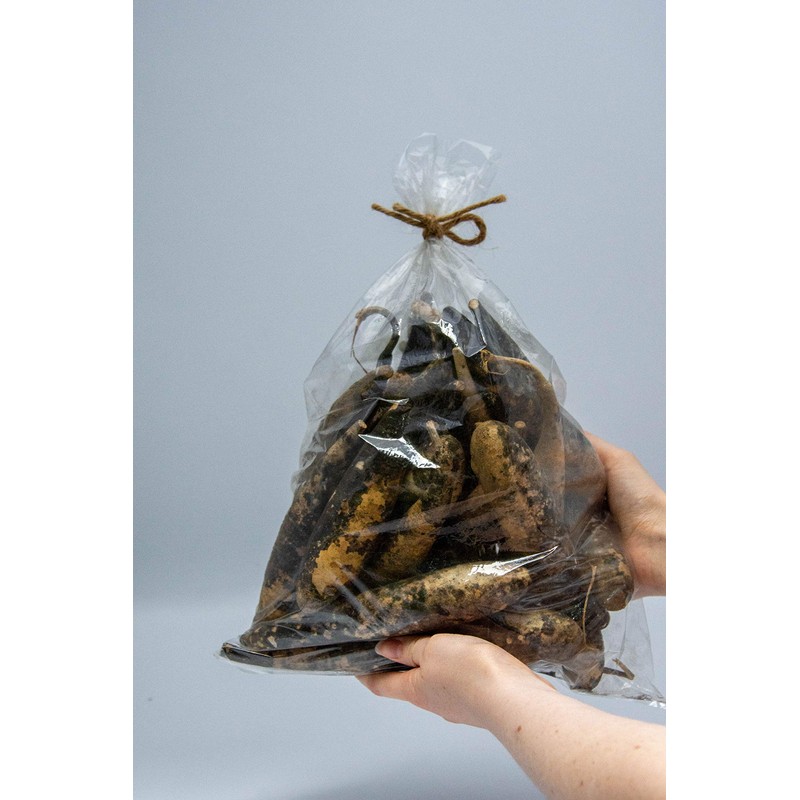 Primitive Banana Gourds - Bag of 24 - Unwashed -