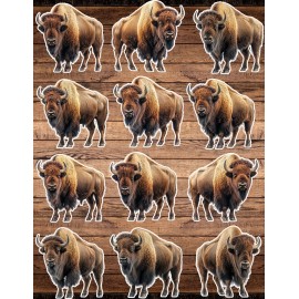 Unbranded Bison Die Cut Vinyl Stickers Set Scrapbooking Laptop Waterbottle