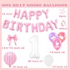 one silly goose balloons
