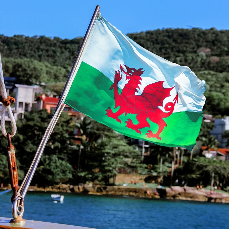 Wales Flag, Hianjoo Welsh National Flags 5ft x 3ft with