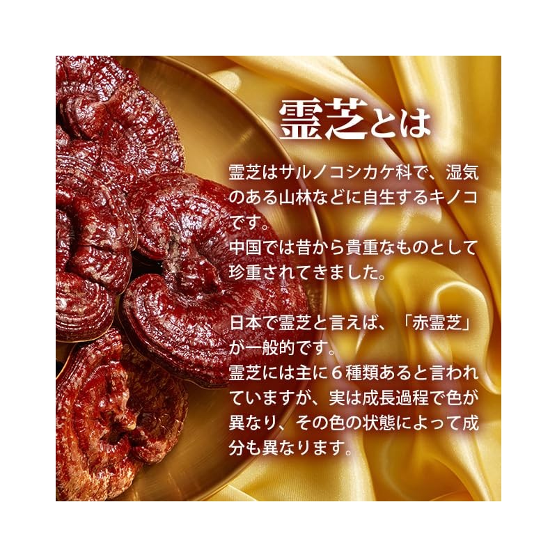 Lipsa Red Reishi Lishi Approx. 1 Month Supply x 6
