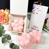T-shin Sakura-Shaped Scented Botanical Bath Soap Duo (2x45g),Cherry Blossom Design,Silky