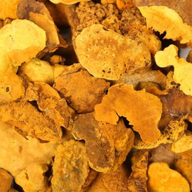 Domestic Sanghwang Mushrooms 3 pieces 250g / 국산 상황버섯 250g 3개