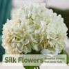 White Artificial Hydrangea Flowers with Glass Vase