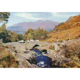 The House of Puzzles - Thirsty Work Jigsaw - 1000 Piece Jigsaws For Adults, Artist Illustrated, Scenic Landscape, Deluxe Puzzle Gifts