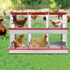 Chicken Nesting Boxes, 6 Hole Nesting Box for Chickens with