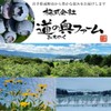 ブルーベリーパウダー 20g×2袋 国産 無添加 農薬不使用 フルーツパウダー 食紅