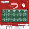 EZ Moms Christmas Toddler Training Underwear Christmas Baby Gifts Set