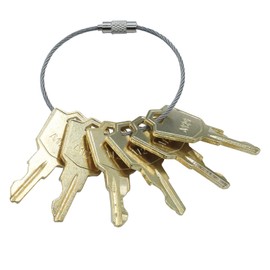 PLENTZOM 6PCS Scooter Key A126 Compatible with Pride Mobility Scooter GoGo, Celebrity, Victory, Legend, Maxima, Revo, Linear Keypads AK-11 MDKP AKR-1