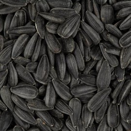 Honest Seed Co. Black Oil Sunflower Seeds for Planting GIANT Sunflowers