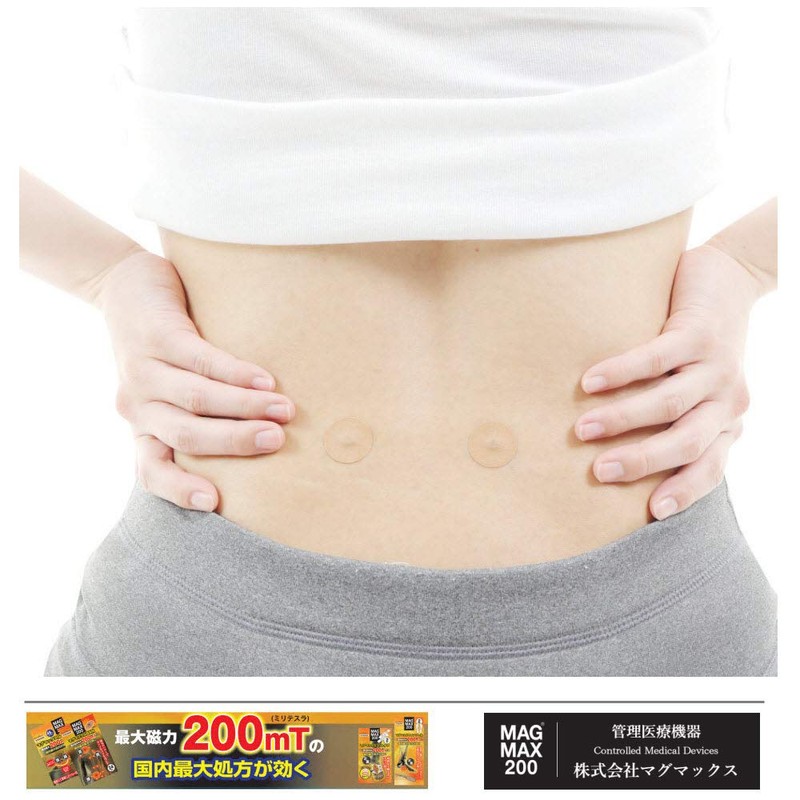 マグマックスBAN 24粒入り マグネットバン MAGMAX200 磁束密度200mT (BAN・24粒入り)