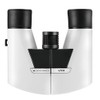 Eschenbach Viva 6 x 15 Binocular - White
