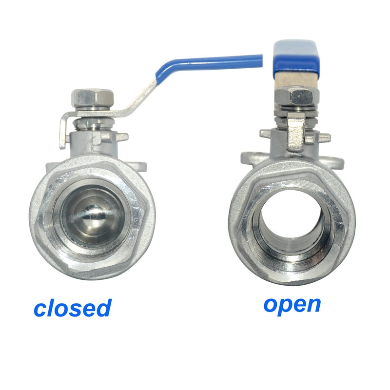 DAN SPEED 2" NPT Female 316 Stainless Steel Full Port