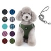 Dog and Cat Universal Harness with Leash - Cat Harness