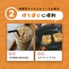 【1包あたり糖質0.24g】低糖質 キャラメルソース 15g×25包 個包装 小分け キャラメルシロップ ミニパック