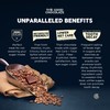 The Good Chocolate - Salted Almonds Keto Chocolate Mini Bars,