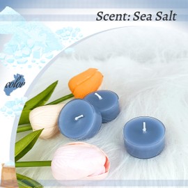 Ocean Sea Salt Scented Tealight Candles, Blue Scent Tea Lights Candles Clear Cup, 24 Pack Colored Tealights Candle, 6 Hour Burn Time Tea Candles for Party, Decor, Spa, Shabbat