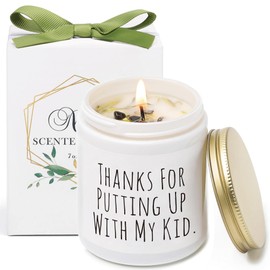 Teacher Appreciation Gifts, Graduation Thank You Candle Gift, Teachers Appreciation Week Gift, Thanks for Putting Up with My Kids, Natural Soy Wax, 7oz Vanilla Lavender Scented Candle