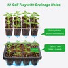 Bonviee 5-Pack Seed Starter Tray Seedling Kits,Plant Starter Kit with