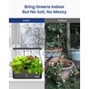 iDOO Hydroponics Growing System Kit 12Pods, Indoor Herb Garden System,