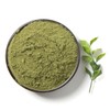 케이웰니스 국내산 꾸지뽕잎분말 200g K-Wellness Domestic Mulberry Leaf Powder 200g