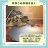ideastore Turtle Drying Board, Land and Flooring Material, Lava Plate,