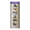 Tomcat Advanced Brand Rat & Mouse Bait with Refillable Station,