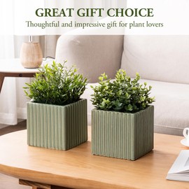 MyGift 6 Inch Square Vintage Olive Green Ceramic Succulent Planter Pot with Vertical Ribbed Design, Indoor Mini Flower Plant Pots, Set of 2
