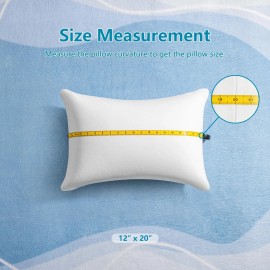 AM AEROMAX 12 × 20 Throw Pillow Memory Foam Pillow Insert - Rectangular Lumba...