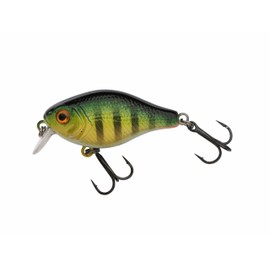 Berkley Pulse Fry Shallow Crankbait Fishing Lure Ultra Realistic Hard Bait Floating Minnow for Bass Trout Chub Aspen High Casting Power Flat Diving Crankbait 1.5" Goldie