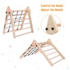 Tibokwoop Toddler Indoor Climbing Playset,2-in-1 Wooden Gym Toy,Kids Triangle Folding
