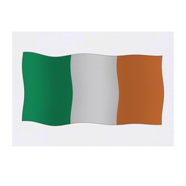 'Waving Irish Flag' Temporary Tattoo - Water Resistant, Skin-Safe, Non-Toxic Transfer (TO00056667)