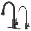 FORIOUS Kitchen Faucet and Water Filter Faucet Combo, Black Stainless