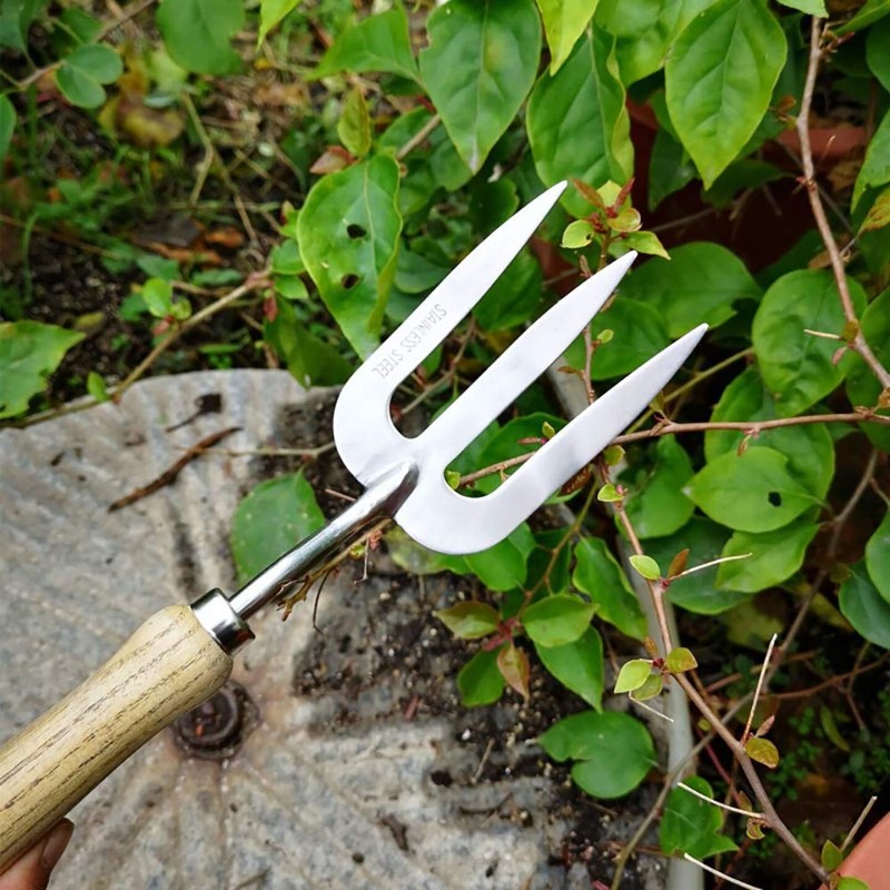 Stainless Steel Digging Fork,Hand Fork with Wood Handle,Cultivator Gardening Tools,Polishing
