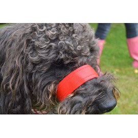 Gencon X-Wide Headcollar X-Large Left Red