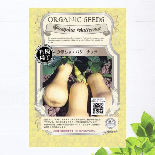 [Specialized Seeds] Pumpkin Seeds (Butter Nuts), S Size, 20 Capsules, Sowing Period: March to May