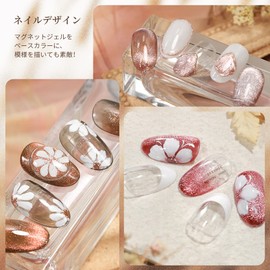 Coikaze Gel 6 Colors Set Galaxy Color Gel, Cat Eye, UV and LED Compatible (Magnet Gel-02)