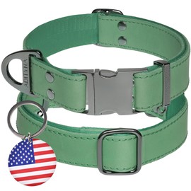ADITYNA Leather Dog Collar with Metal Buckle - Heavy-Duty, Adjustable for Large & Extra Large Dogs - Walking & Training (Green, Fits 19-30" Necks)