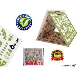 LIGHTSMAX 6 PACK STICKY MOTH TRAP ECO FRIENDLY FOR CLOTHES closer storage safe no poison