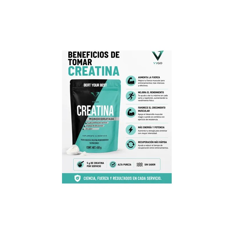 Creatina Monohidratada En Polvo Vygo Bolsa Suplemento