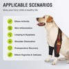 KISFLY Dog Elbow Protector for Osteoarthritis Canine Elbow and Shoulder